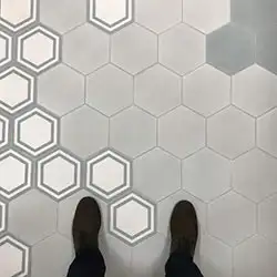 hexagonal floor tile